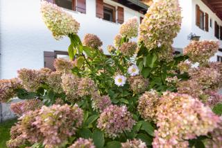Ferienwohnung Alpenglück - Marktschellenberg - 9