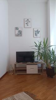 Loving My Rooms 2 - delizioso appartamento in centro - Gorizia - 5