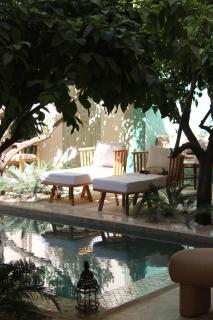 Riad Emberiza Sahari - 3