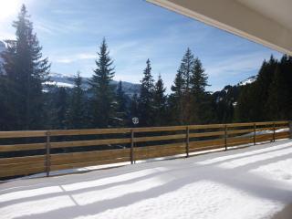 Charmant appartement 3 pièces, terrasse, ski à proximité - FR-1-425-135 - Flaine - 2