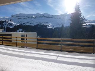 Charmant appartement 3 pièces, terrasse, ski à proximité - FR-1-425-135 - Flaine - 1