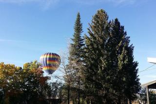 Walkability in Downtown Driggs - Driggs - 1