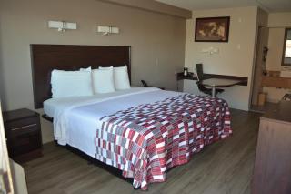 Red Roof Inn Jackson North – Ridgeland - Ridgeland - 7