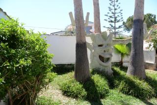 Noa - Torrevieja - 9