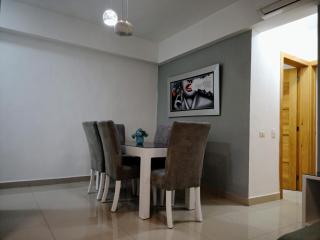 Elegant and confortable close to Boca Chica Beach - 1