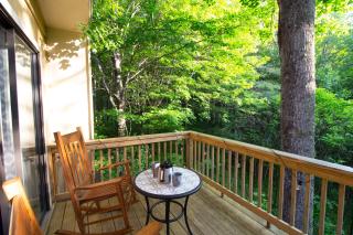 Pinetop Nest: Happy Place in Sugar Mountain - Banner Elk - 8
