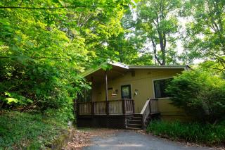 Pinetop Nest: Happy Place in Sugar Mountain - Banner Elk - 7