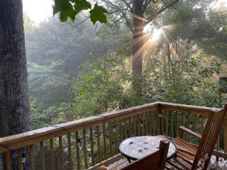 Pinetop Nest: Happy Place in Sugar Mountain - Banner Elk - 9