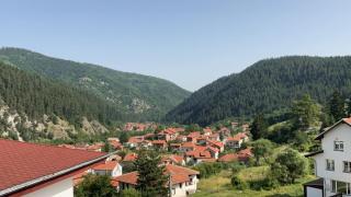 Alpine Nest: 6km to ski slopes - Beli Iskar - 4