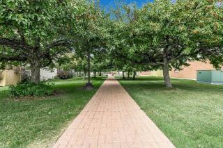 Downtown & Upscale - 1