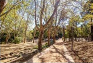 Forest View - Lissabon - 9