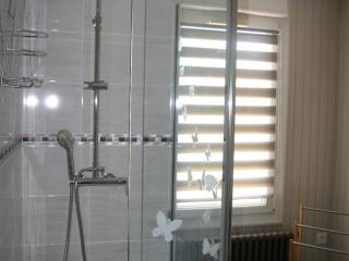 Maison confortable avec jardin, proche centre-ville et circuit 24h du Mans - FR-1-410-271 - Le Mans - 9