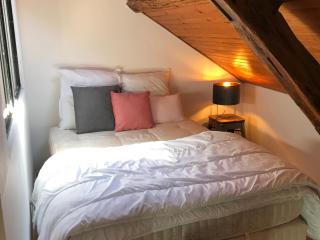 Gîte charmant près du circuit du Mans, 12 pers., 5 ch., rénové avec 3 sdb, nature et attractions proches - FR-1-410-342 - 1