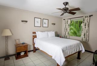 Cozy getaway w/pool-tennis-bbq near Manuel Antonio - 3