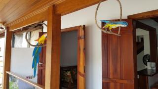 Casa Beira Mar - Paraty - 8