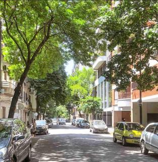 Calido departamento en Palermo Soho - 8