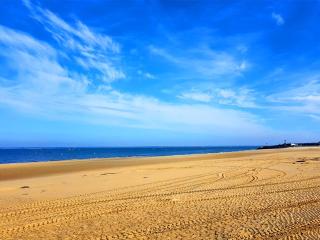 Arcachon Centre : Charmant T2 avec Loggia, Parking Sécurisé et Proche Plage - FR-1-420-61 - Arcachon - 1