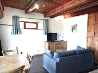 Charmant 2 pièces rénové, exposé sud, à 50m des pistes, WiFi, TV, parking, casier à skis - FR-1-411-901 - Bourg-Saint-Maurice - 9