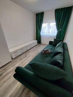 FLH - AntHome - Sibiu - 3