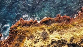 Stella Maris Oceanfront Retreat - 3