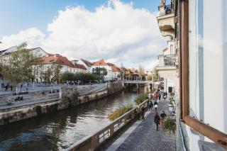 The Muse' Hideaway - 7