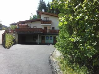 Appartement Anna Maria - Ellmau - 9