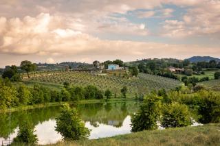 Country House Oliveto sul Lago - San Nicolò - 8