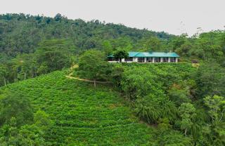 Kobbekaduwa Bungalow - Kandy - 7