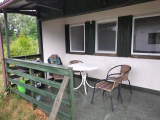 Leśna Chata kuracyjna nad rzeką z sauną w Borach Tucholskich - 1