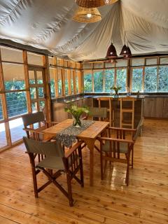 Olesamara Collection - 5