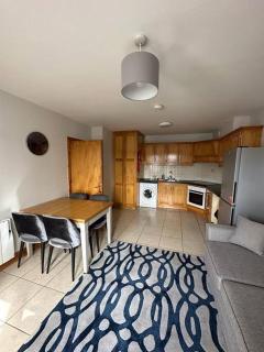 Snug apartment centrally located - Galway - 0