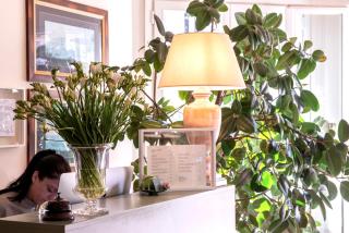 Hotel Franceschi - Forte dei Marmi - 6