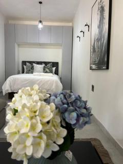 Cosy apt 5min to Sandton City 8 - 5