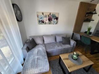 Apartman Adam Divčibare - Divčibare - 2