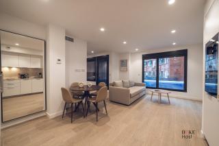Castilla Luxury 1B Apartment - Madrid - 8