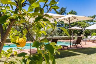 Villa dei Limoni - Ripatransone - 6