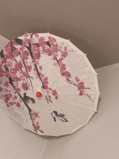 美ハウス Beauty House - 1