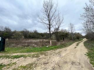 Къмпинг Частен Двор BULGARIAN CAMPSITE for Tents - Kazanlŭk - 7