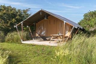 Laguna Beach Family Camps Öland - Mörbylånga - 2