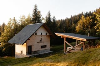 Alpine Cottage Golica - Jesenice - 8