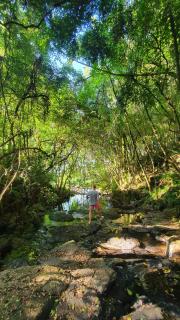 L'esperienza - Chalés completos - Ecoturismo - Nova Petrópolis - 2