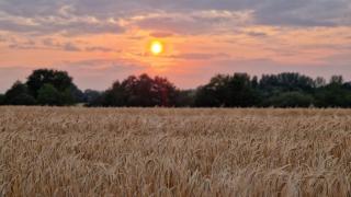 Meublé 5* Au gré des saisons - 4