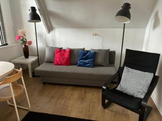 Thomasloft - Oegstgeest - 9