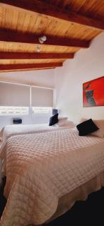 Hotel Geronimo - Pucón - 1