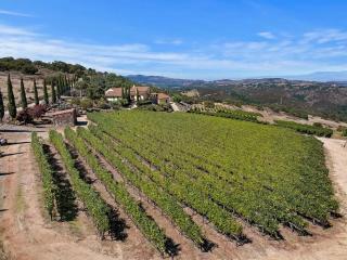 Tuscan Villa w/Vineyard Views! - Murrieta - 8