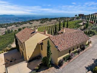 Tuscan Villa w/Vineyard Views! - Murrieta - 2