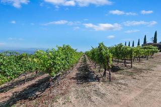 Tuscan Villa w/Vineyard Views! - Murrieta - 4