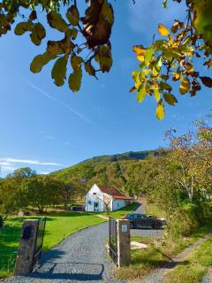 Casa Mido Badacsony - 0