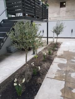 A comfortable small studio nearby Acropolis 1 - 9