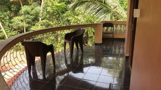 Safe Home Stay - Cansaulim - 9